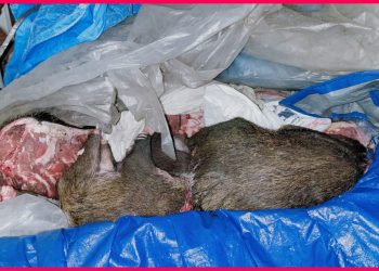 Kalianda.lappung.com