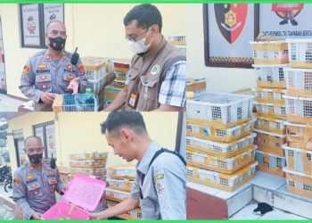 KSKP Bakauheni Tangkap Penyelundupan